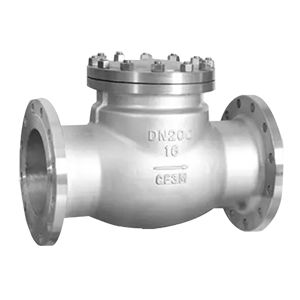 Flanged Swing Check Valve
